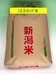 はさかけ米 玄米　30kg